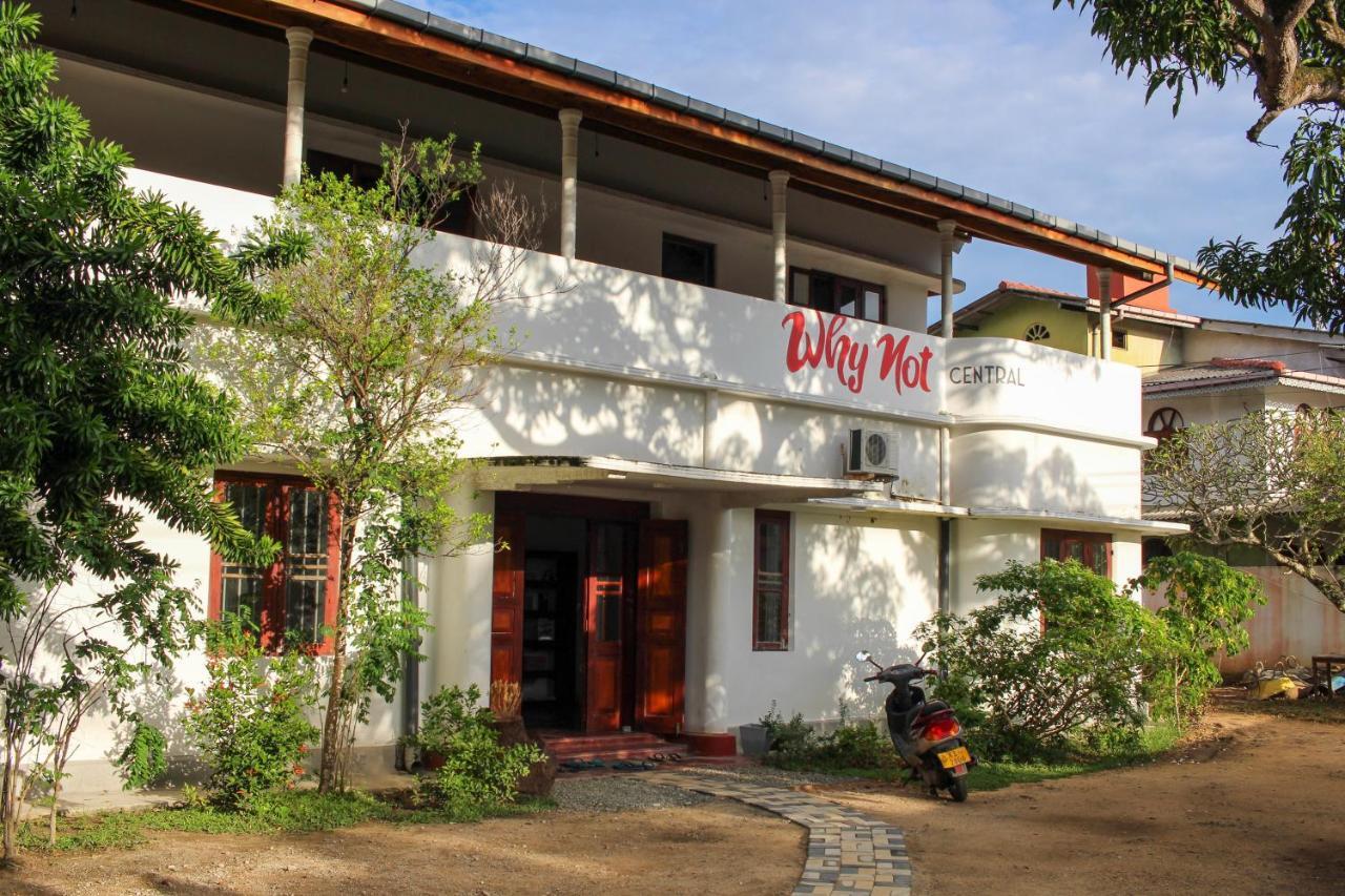 Why Not Backpackers Albergue Mirissa Exterior foto
